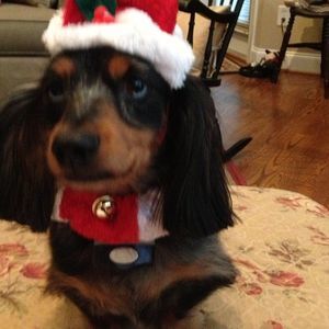 Meet your Posher, Jacque